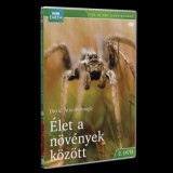 Élet a növények között 2. - DVD