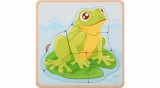 Életciklus puzzle Béka