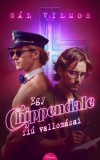 Eleven Kiadó Gál Vilmos: Egy chippendale-fiú vallomásai - könyv