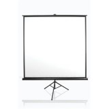 EliteScreen mobil háromlábú vászon Tripod 113"(1:1) T113UWS1 (Fekete, 203,2x203,2cm, MaxWhite, 1.1) (T113UWS1)
