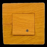 ELMARK EL BASIC TG114 1 BUTTON 1 WAY SWITCH WITH LIGHT PE