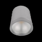 ELMARK LEDES MÉLYSUGÁRZÓ RDLCOB 20W 230V 2700K 60° EZÜST