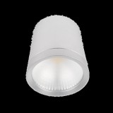 ELMARK LEDES MÉLYSUGÁRZÓ RDLCOB 20W 230V 4000K 60° FEHÉR