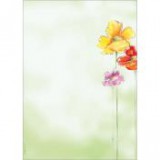 Előnyomott papír, A4, 90g, SIGEL "Spring Flowers" [50 lap]