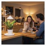 Emos Z7905 LED növénynevelő lámpa, teljes spektrum, 21 LED, beltéri, időzítővel