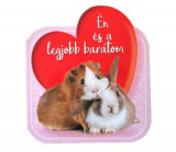 Én és a legjobb barátom