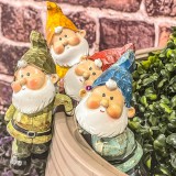 Enger 252213460 Kerti Törpe