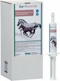 EQI Protector paszta újszülött csikók és legyengült lovak számára 32 ml