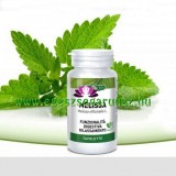 ERBAVITA® Mikronizált Citromfű tabletta