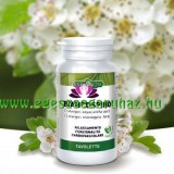 ERBAVITA® Mikronizált Galagonya/Szíverő tabletta
