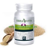 ERBAVITA® Mikronizált Sörélesztő tabletta - Máj, idegrendszer, emésztőrendszer és kötőszövet egészsége...