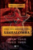 Erdélyi Szalon Christian Campiche: Többé nem megyünk vissza Sashalomra - könyv