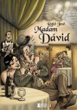 Erdélyi Szalon Rejtő Jenő: Madam Dávid - könyv