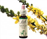 EREDETI BACH VIRÁGESZENCIA AGRIMONY-APRÓBOJTORJÁN 20 ML