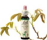 EREDETI BACH VIRÁGESZENCIA DIÓFA 20ML-A VILÁGRASEGÍTŐ