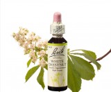 EREDETI BACH VIRÁGESZENCIA FEHÉR VADGESZTENYE 20ML-A GONDOLKODÁS VIRÁGA