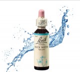 EREDETI BACH VIRÁGESZENCIA FORRÁSVÍZ 20ML-A RUGALMASSÁG GYÓGYÍRE