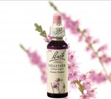 EREDETI BACH VIRÁGESZENCIA HEATHER-HANGA 20ML-AZ IDENTITÁS VIRÁGA