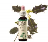 EREDETI BACH VIRÁGESZENCIA HOLLY-MAGYAL 20 ML-A SZÍVET MEGNYITÓ VIRÁG