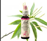 EREDETI BACH VIRÁGESZENCIA SZELÍDGESZTENYE 20ML-A MEGVÁLTÁS VIRÁGA