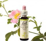 EREDETI BACH VIRÁGESZENCIA VADRÓZSA 20 ML-AZ ÉLETKEDV VIRÁGA