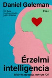 Érzelmi intelligencia