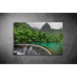 Esőerdő Vászonkép 003 tm-003