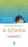 Európa Könyvkiadó Barnett, Kristine: A szikra - könyv