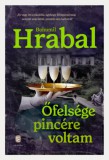 Európa Könyvkiadó Bohumil Hrabal: Őfelsége pincére voltam - könyv