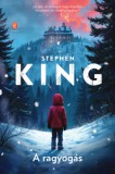 Európa Könyvkiadó Stephen King: A ragyogás - könyv