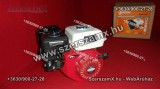 EUROSTAR Möller MR-GE-5502 5,5Lóerő Benzines Motor 163ccm 4ütemű