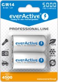Everactive EVHRL14-5000 háztartási elem Újratölthető elem Nikkel-fémhidrid (NIMH)