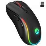 Everest SM-W75 -X-RAPID Wireless RGB Mouse Black 35467