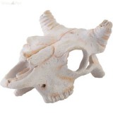 EXO-TERRA Exo Terra koponya bivaly