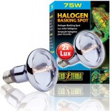 EXO TERRA H.Exo-Terra 2182 Halogen 75w