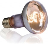 EXO TERRA H.Exo-Terra 3781 Swamp Glo 75w