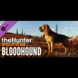 Expansive Worlds theHunter: Call of the Wild - Bloodhound (PC - Steam elektronikus játék licensz)