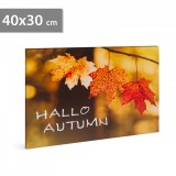 Family LED-es fali hangulatkép - "Hello ősz" - 2 x AA, 40 x 30 cm (58502)