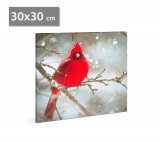 Family LED-es fali kép - vörös pinty - 30 x 30 cm