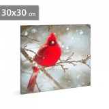 Family LED-es fali kép - vörös pinty - 30 x 30 cm