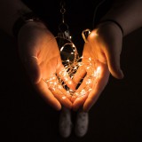 Family LED fényfüzér - 10 db melegfehér LED - 2 x AA (58043B)