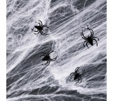 Family Pókháló és pók - fehér