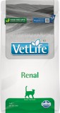 FARMINA Vet Life Cat Renal 400 g