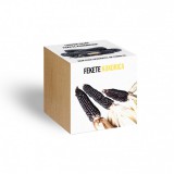 Fekete kukorica növényem fa kockában, Fekete kukorica növényem fa kockában