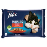 Félix Felix Fantastic Házias Válogatás csirkével, marhával 12 x (4 x 85 g)