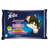 Félix Felix Fantastic Junior Vegyes Válogatás csirkével, lazaccal 12 x (4 x 85 g)