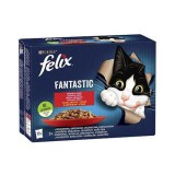 Félix Macskaeledel, 12x85 g, FELIX "Fantastic", házias válogatás
