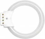 Fénycső-gyűrű 8W 450 lumen