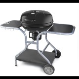 Fieldmann FZG 1014 Faszenes grill (FZG 1014)