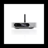 FiiO SR11 Streaming zene vevő (Streamer), ezüst